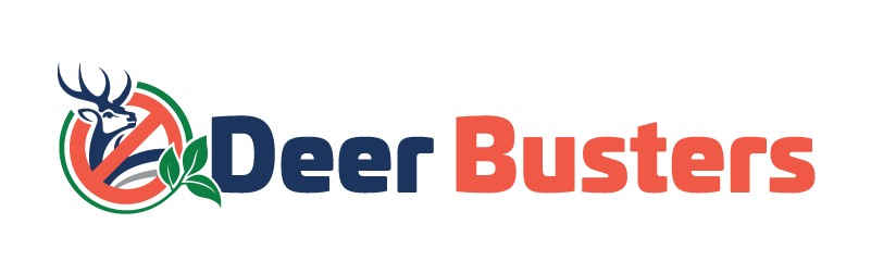 Deer busters online
